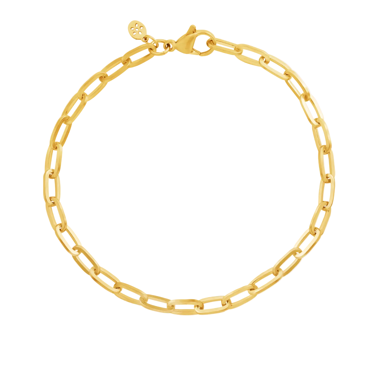 Gold chain bracelet on a white background