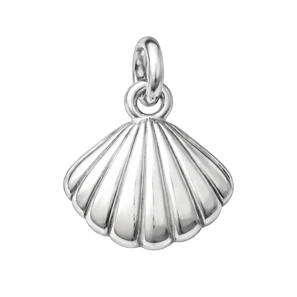 Shell charm