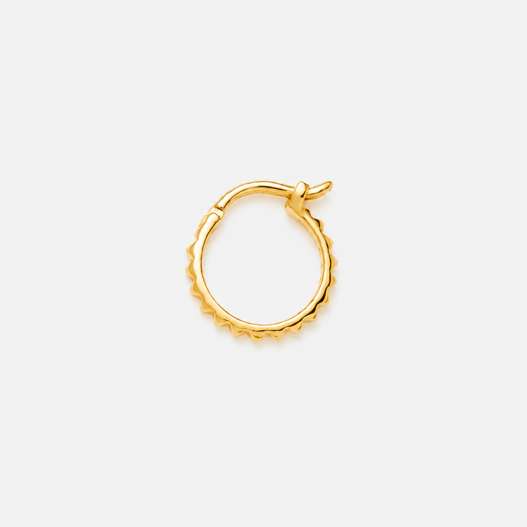 Hoops earrings