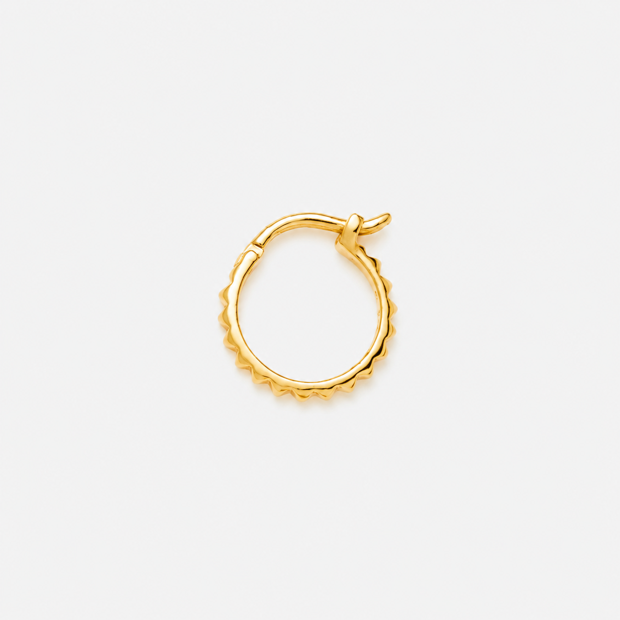 Hoops earrings