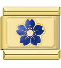 Blue Flax